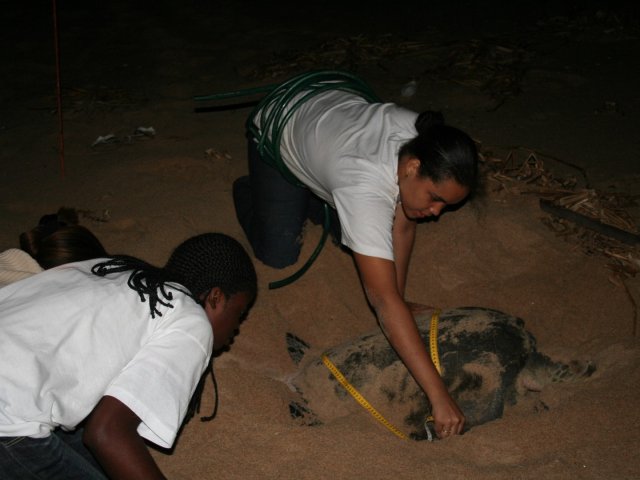 Trabalhos de Campo