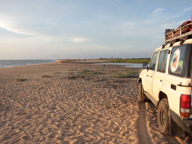 Trabalhos de Campo